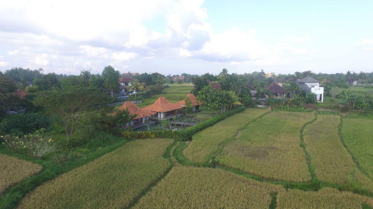 Griya KCB Villa Ubud Mas  Exteriör bild