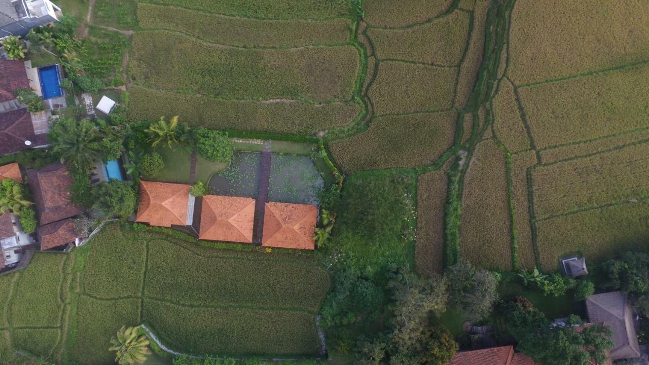 Griya KCB Villa Ubud Mas  Exteriör bild