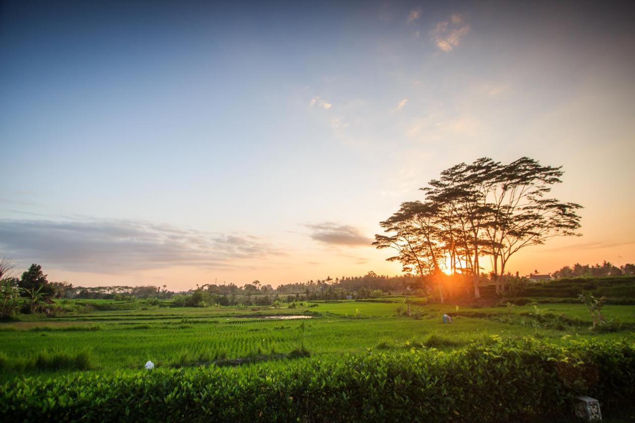 Griya KCB Villa Ubud Mas  Exteriör bild