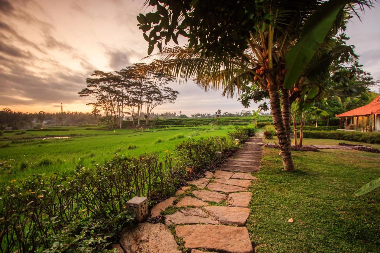 Griya KCB Villa Ubud Mas  Exteriör bild